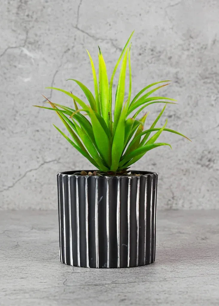 Coral Aloe Slim